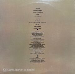 Grace Jones Nightclubbing LP Plak