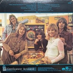 Pinball Wizards The New Seekers LP Plak