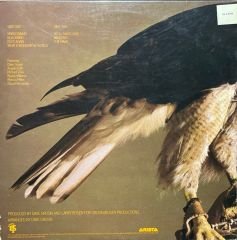 Dave Valentin The Hawk LP Plak