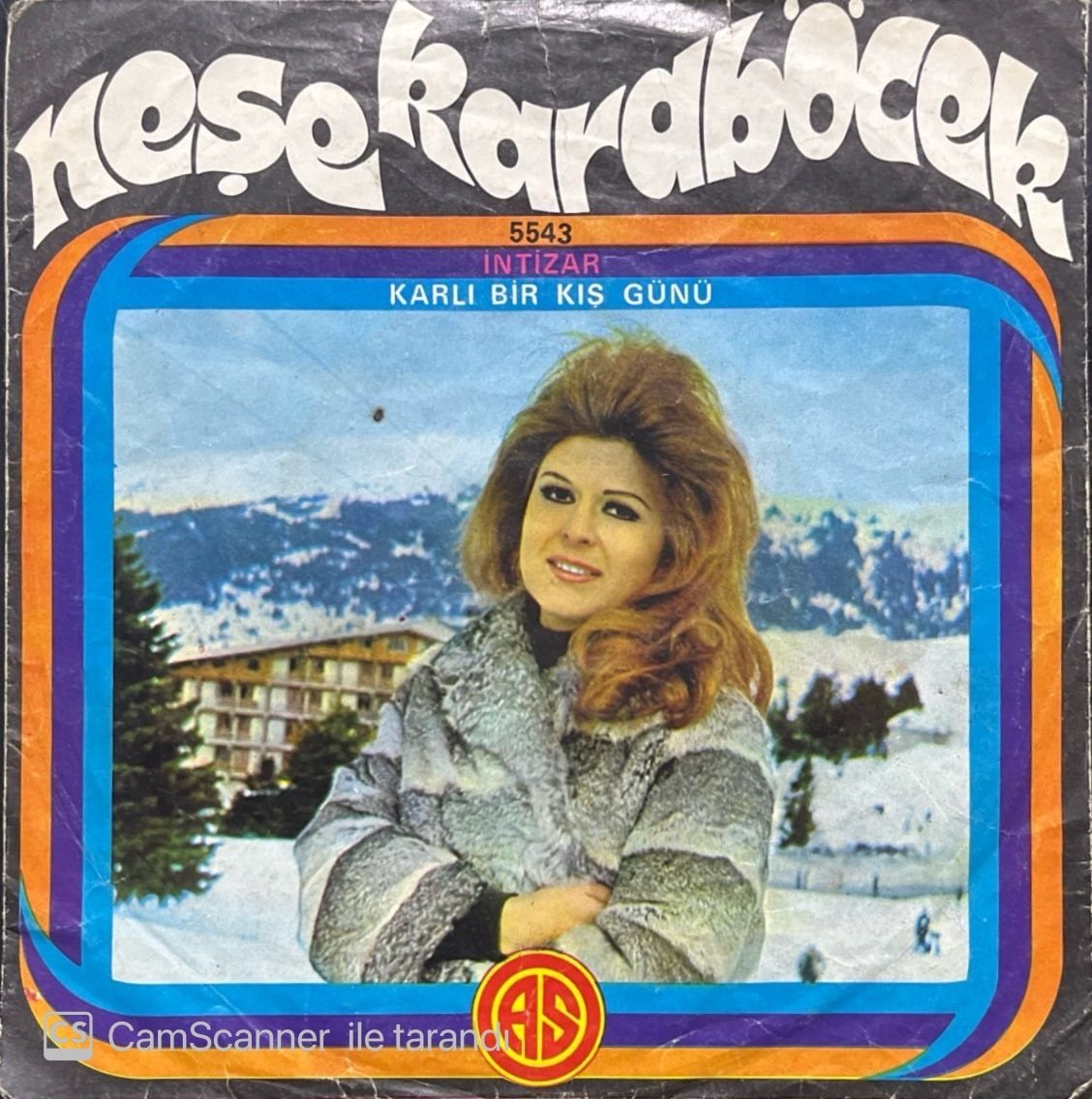 Neşe Karaböcek İntizar 45lik plak