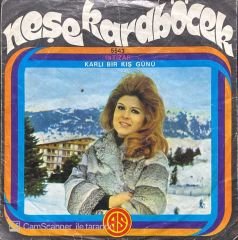 Neşe Karaböcek İntizar 45lik plak
