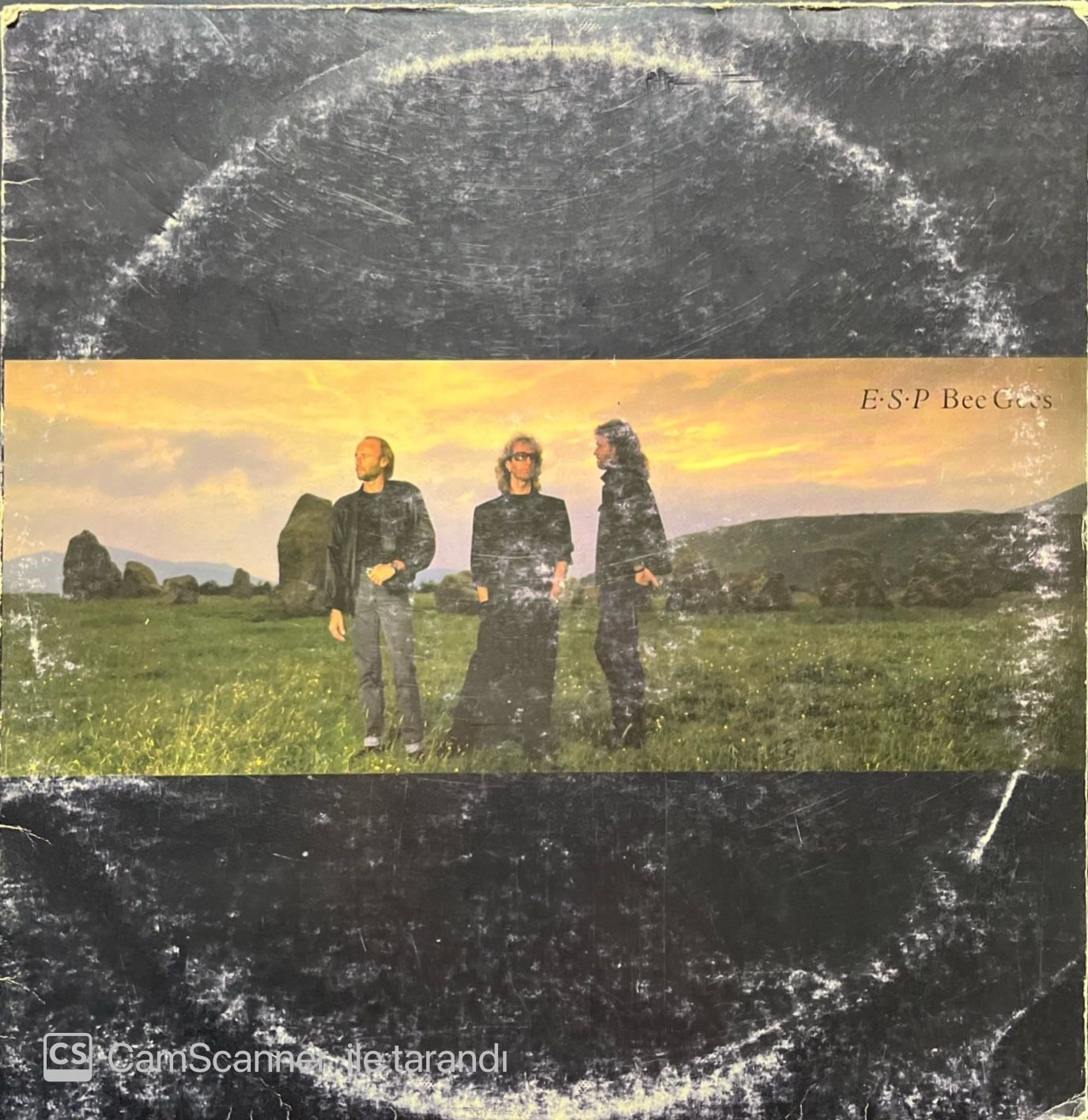 Bee Gees E.S.P LP Plak
