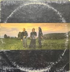 Bee Gees E.S.P LP Plak
