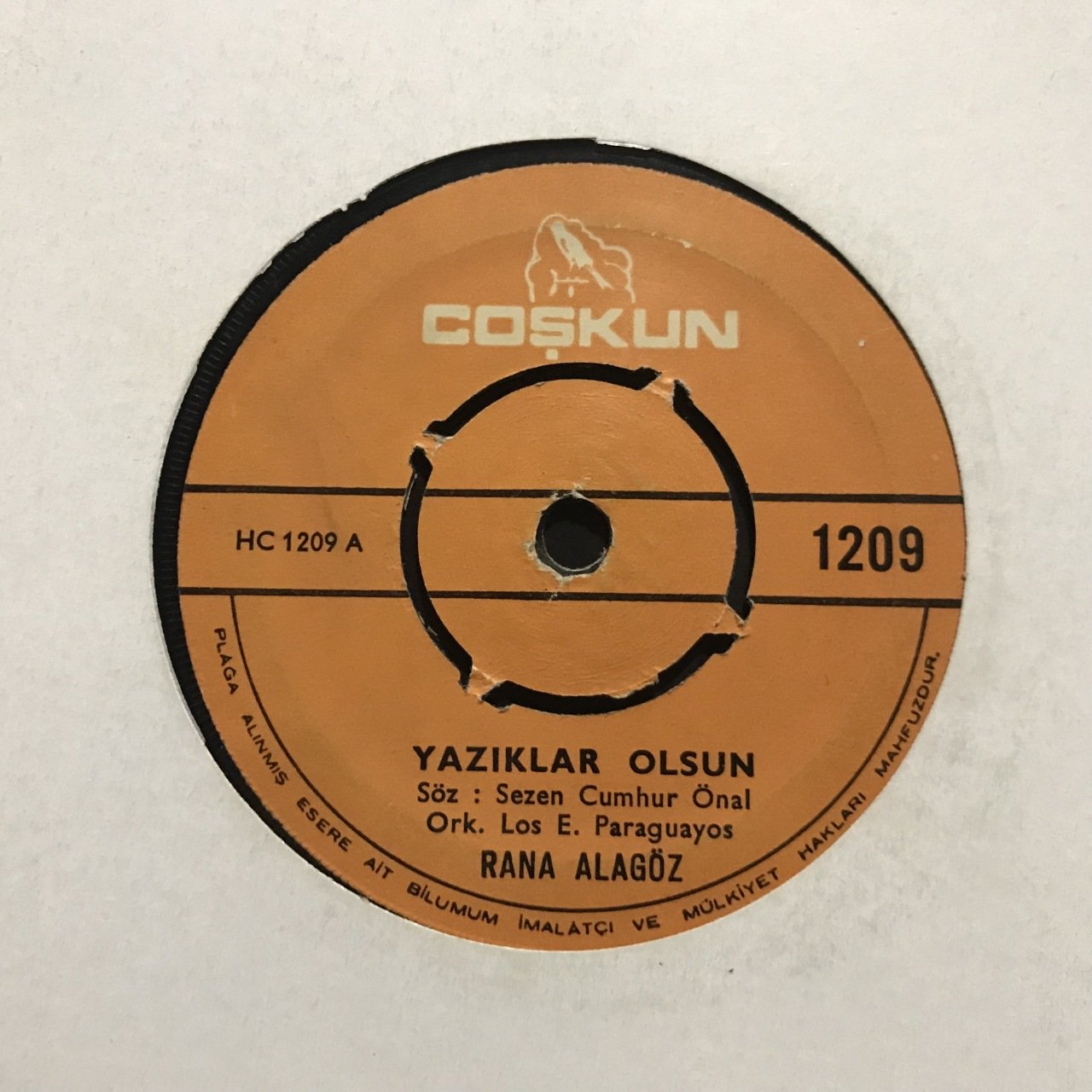 Rana Alagöz Yazıklar Olsun 45lik Plak