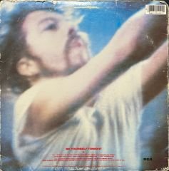 Eurythmics Be Yourself Tonight LP Plak