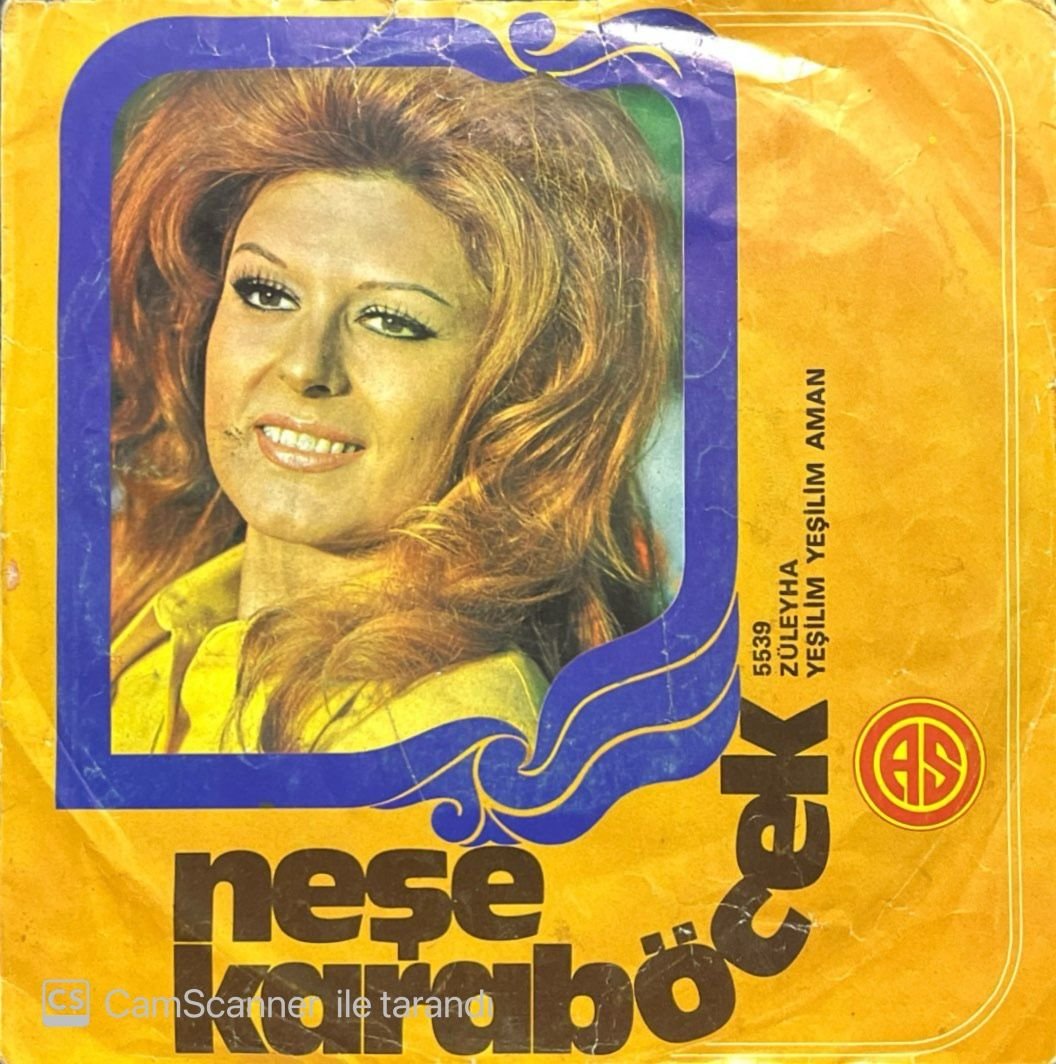 Neşe Karaböcek Züleyha 45lik plak