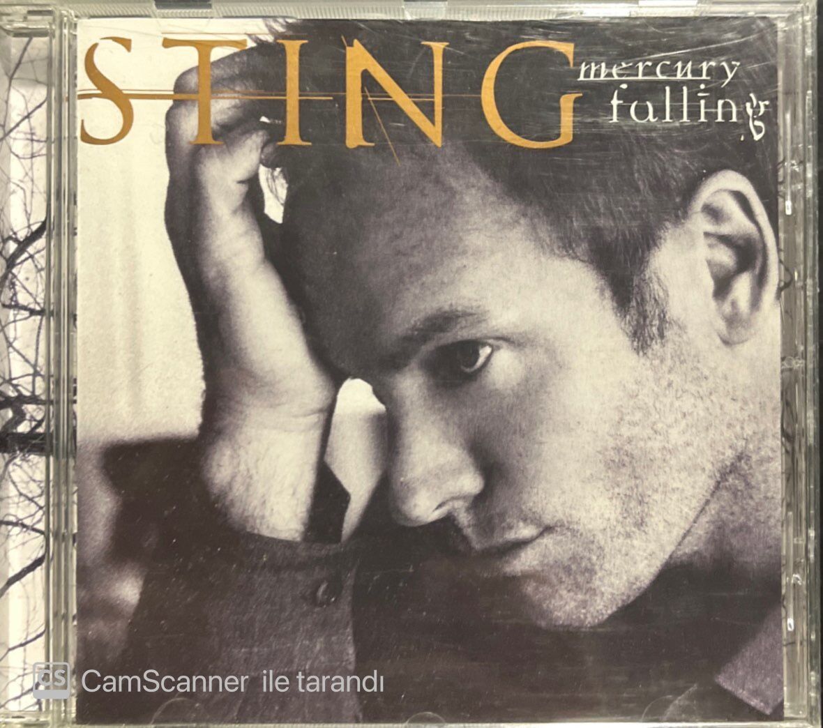 Sting Mercury Falling CD