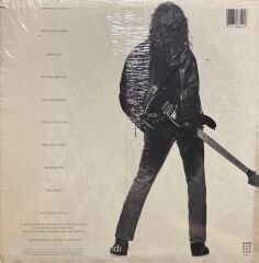 Robbie Nevil A Place Like This LP Plak