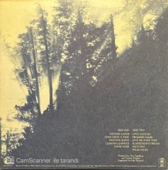 Nether Lands Dan Fogelberg LP Plak