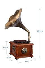 Record Master Rmj-228 Gramofon Pikap - Radyo - Bluetooth - Usb - 33, 45 Devir Plak Çalar *ÜCRETSİZ KARGO