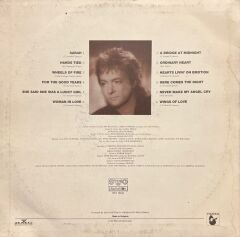 Chris Norman Different Shades LP Plak