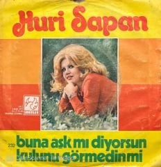 Huri Sapan Buna Aşk Mı Diyorsun 45lik plak