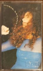 Cloria Estefan İnto The Light Kaset