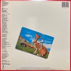 Steve Forbert Jackrabbit Slim LP Plak