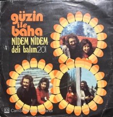 Güzin İle Baha Nidem Nidem 45lik Plak