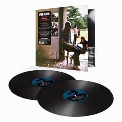 Pink Floyd Ummagumma (2016 Remastered Version) Double LP Plak