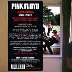 Pink Floyd Ummagumma (2016 Remastered Version) Double LP Plak