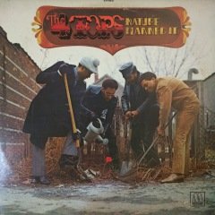 Four Tops Nature Planned İt LP Plak