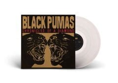 Black Pumas Chronicles Of A Diamond (Şeffaf) Lp Plak