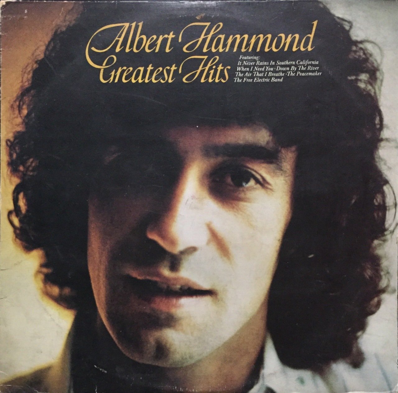 Albert Hammonds Greatest Hits LP Plak