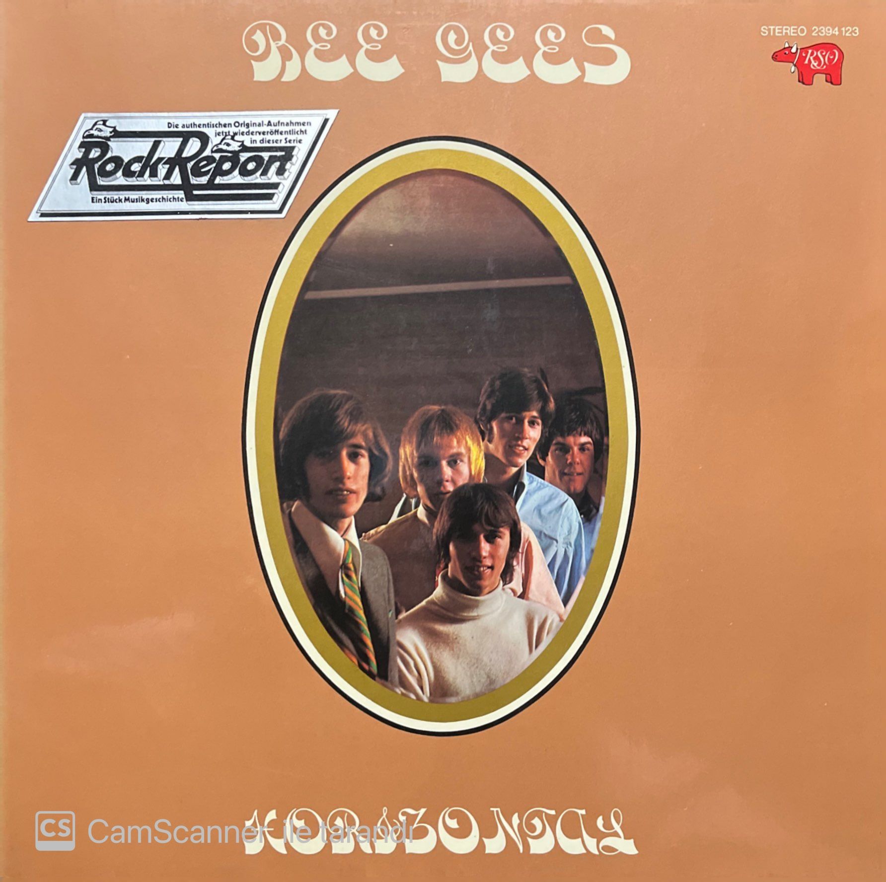Bee Gees Horizontal LP Plak