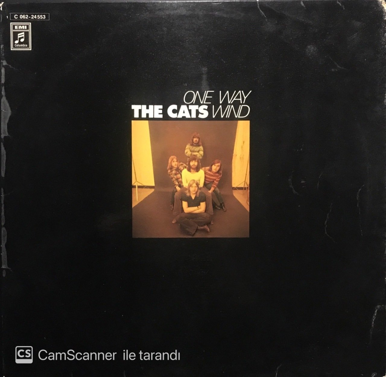 The Cats One Way Wind LP Plak