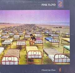 Pink Floyd A Momentary Lapse Of Reason LP Plak