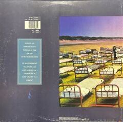 Pink Floyd A Momentary Lapse Of Reason LP Plak