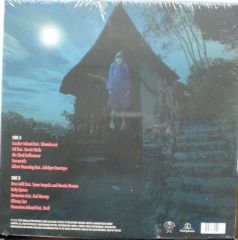 Gorillaz Cracker Island LP Plak