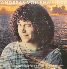 Andreas Vollenweider Behind The Gardens LP Plak