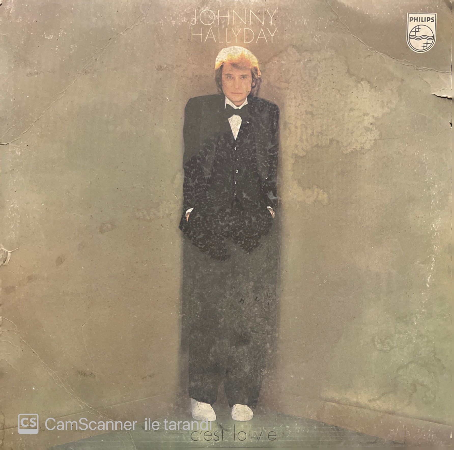 Johnny Hallyday C'est La Vie LP Plak
