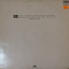 Lovers And Other Strangers Dear Pen Pal LP Plak
