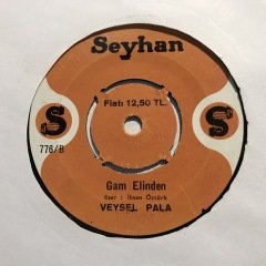 Veysel Pala Gam Elinden 45lik Plak