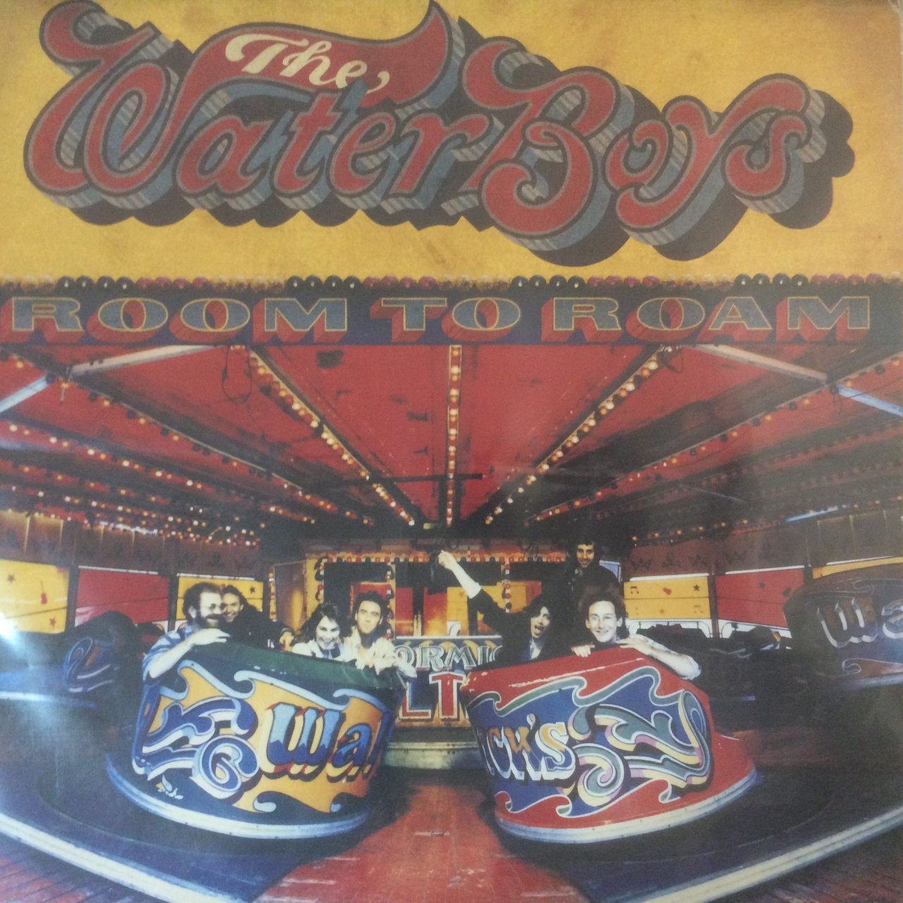 The Water Boys Room To Roam LP Plak