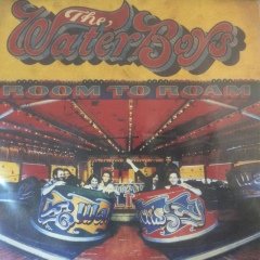 The Water Boys Room To Roam LP Plak