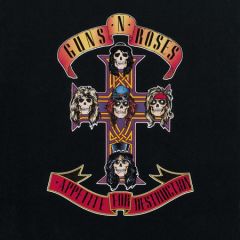 Guns N' Roses Appetite for Destruction LP