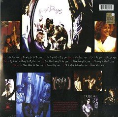 Bon Jovi These Days (Remastered) Yeni Baskı Çift LP Plak