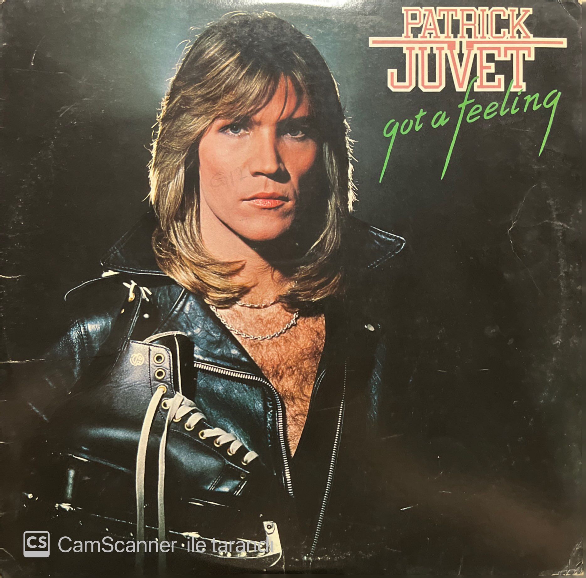 Patrick Juvet Got A Feeling LP Plak