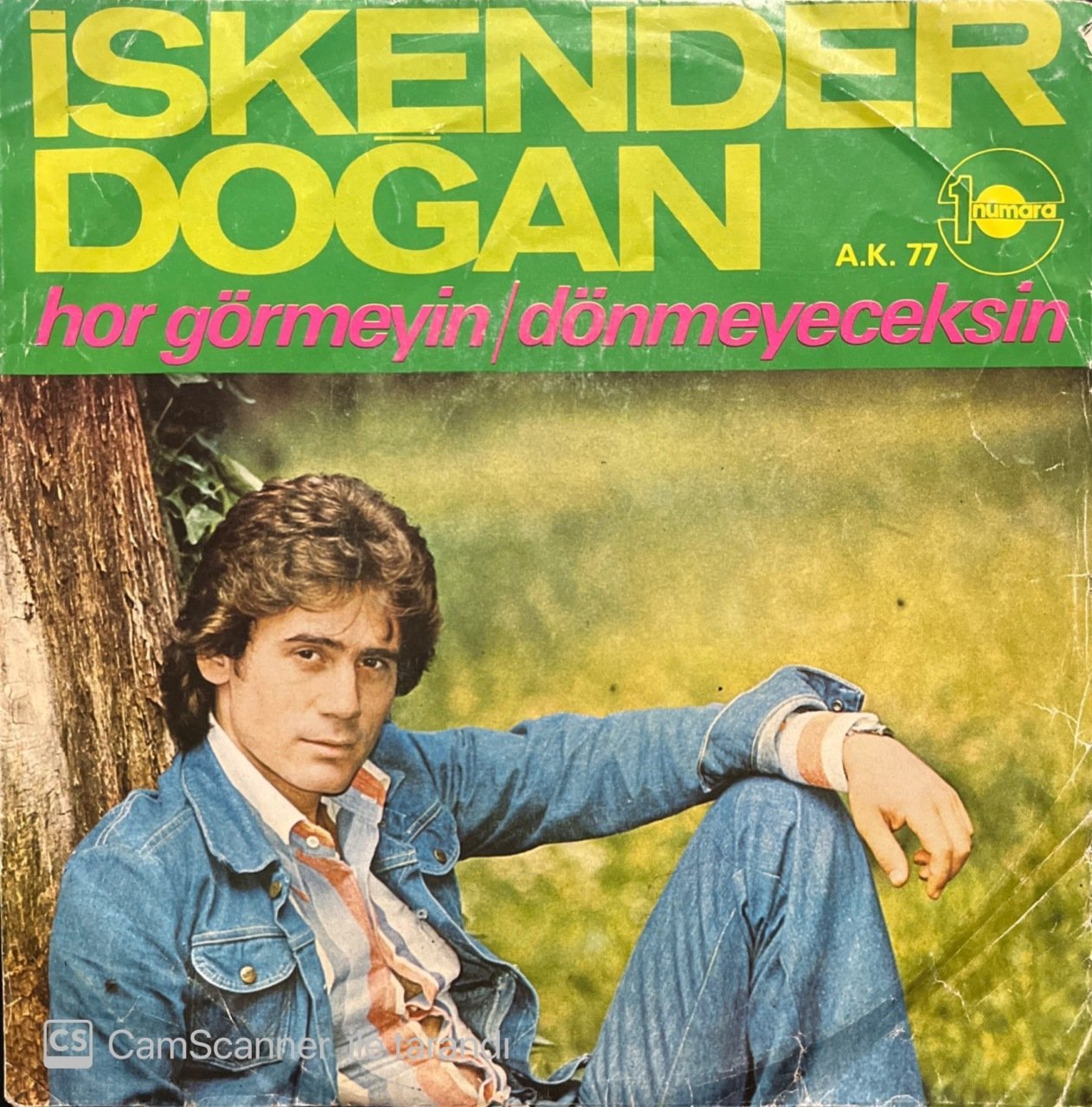 İskender Doğan Hor Görmeyin 45lik plak