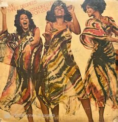 The Three Degrees Standing Up For Love LP Plak