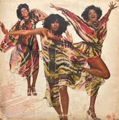 The Three Degrees Standing Up For Love LP Plak