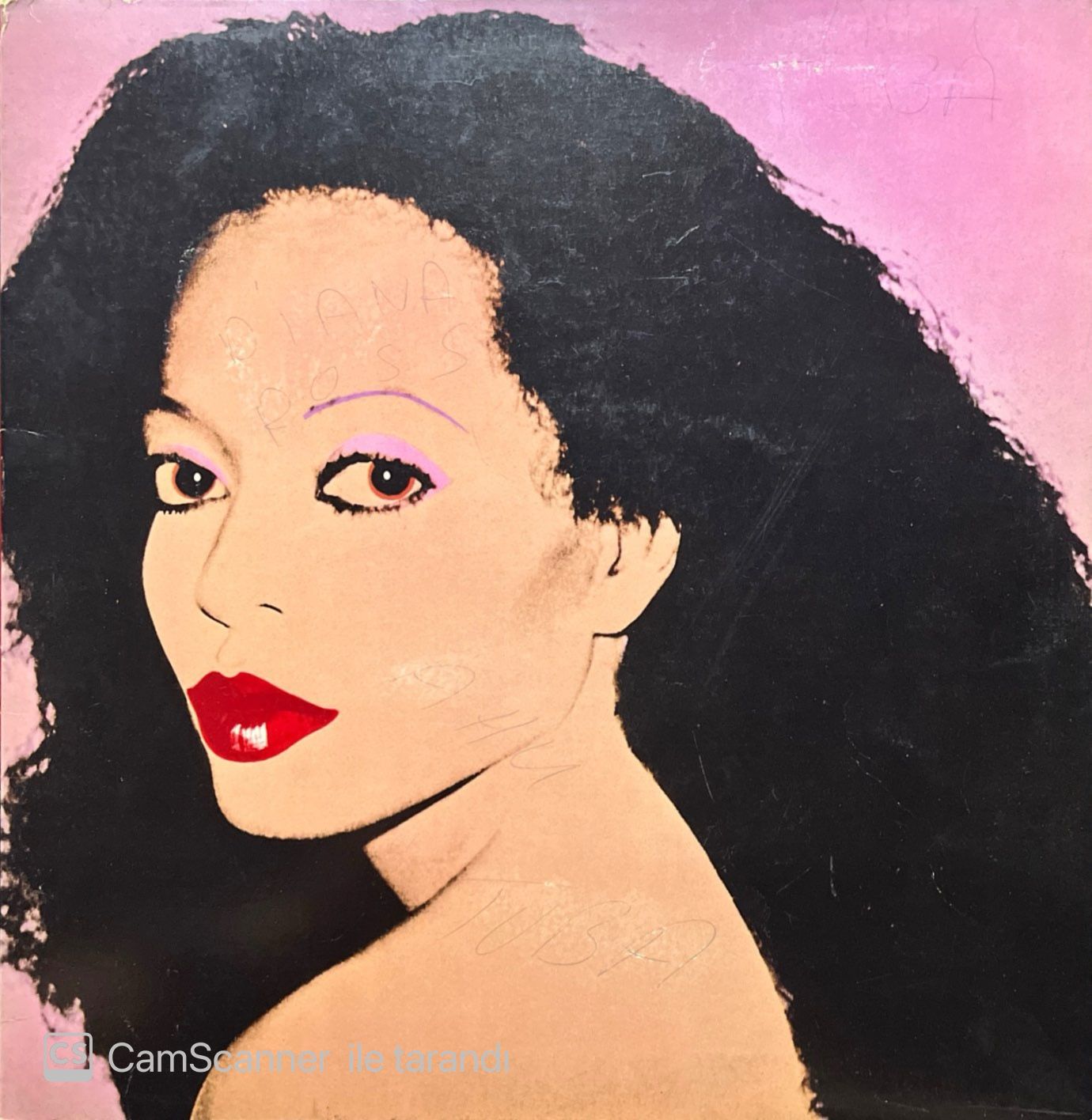 Diana Ross Silk Electric LP Plak