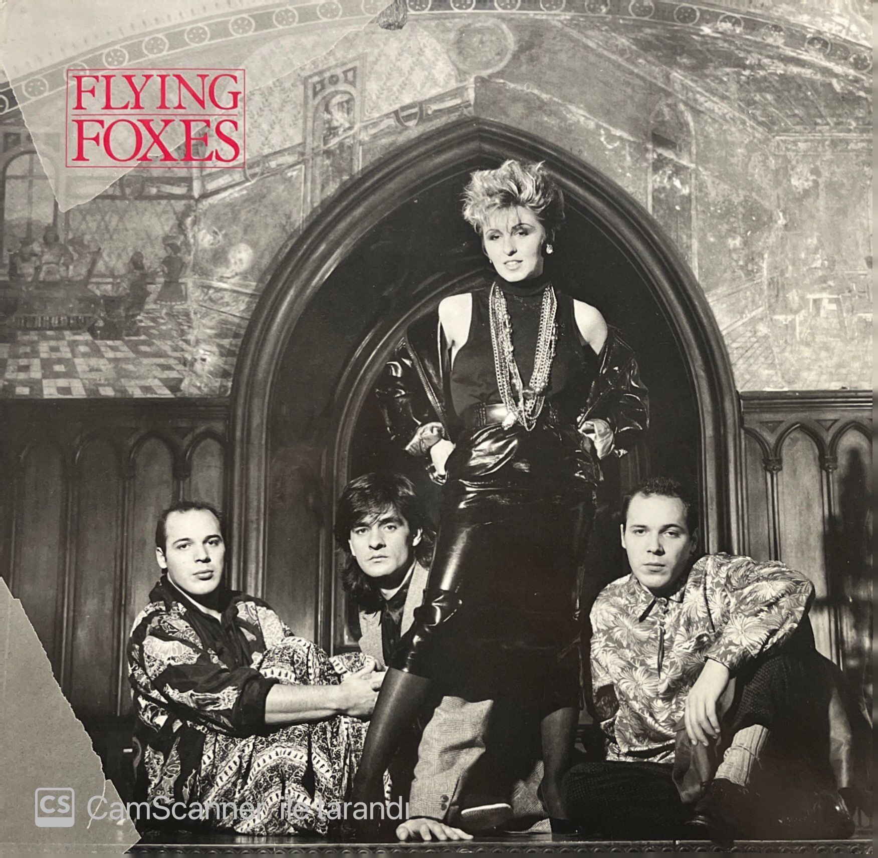 Flying Foxes Flying Foxes LP Plak
