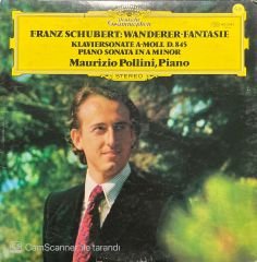 Franz Schubert Wanderer Fantasie LP Plak