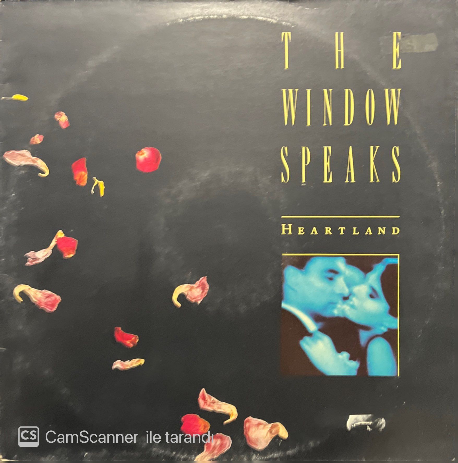 The Window Speaks Heartland LP Plak