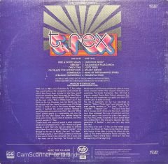 T. Rex Ride A White Swan LP Plak