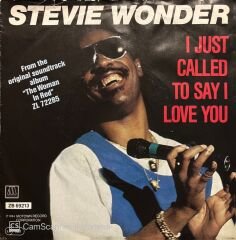 Stevie Wonder I Just Called To Say I Love You 45lik Plak