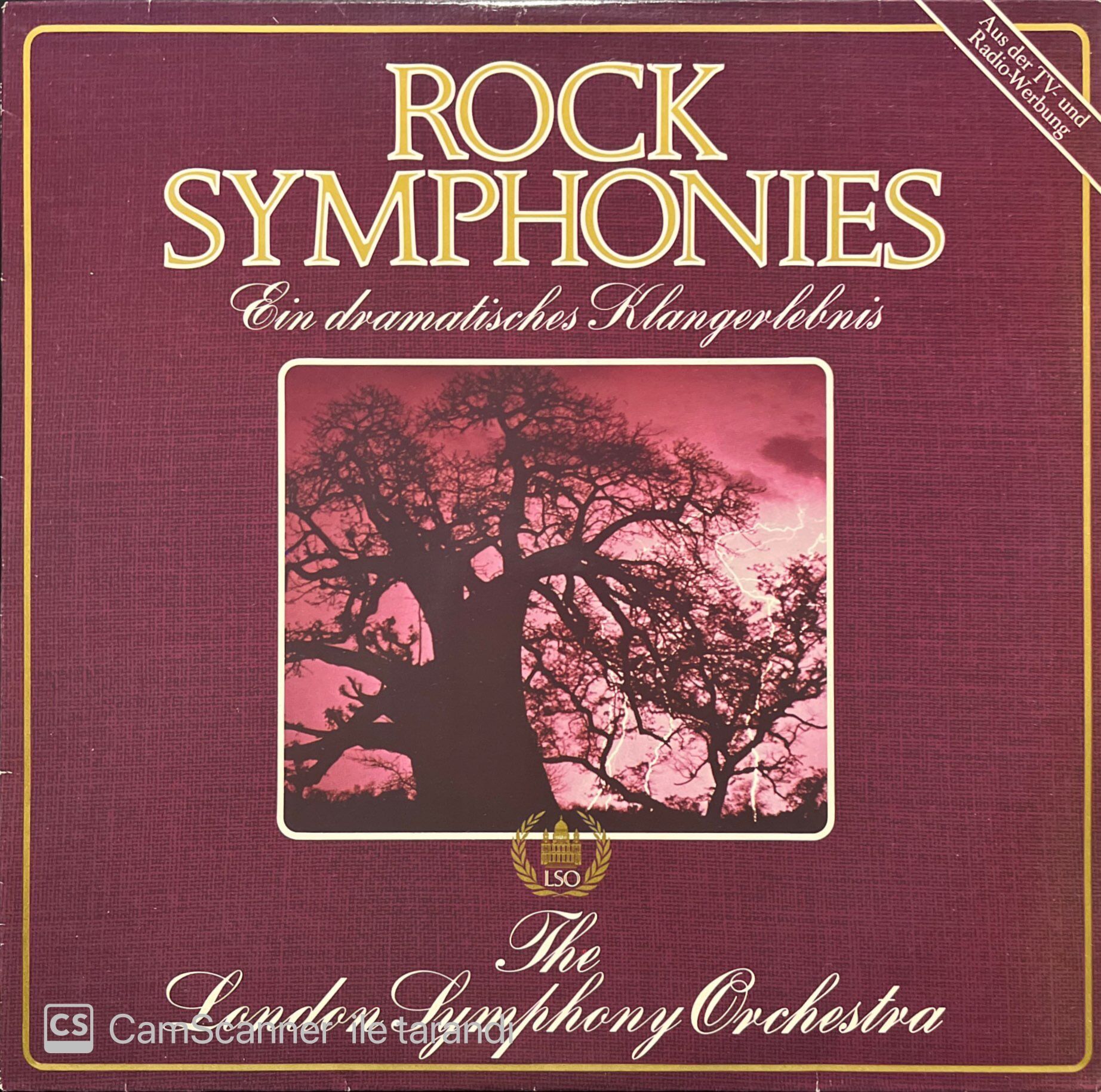 Rock Senfonies LP Plak
