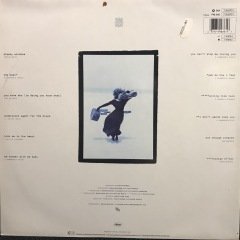 Tina Turner Foreign Affair LP Plak