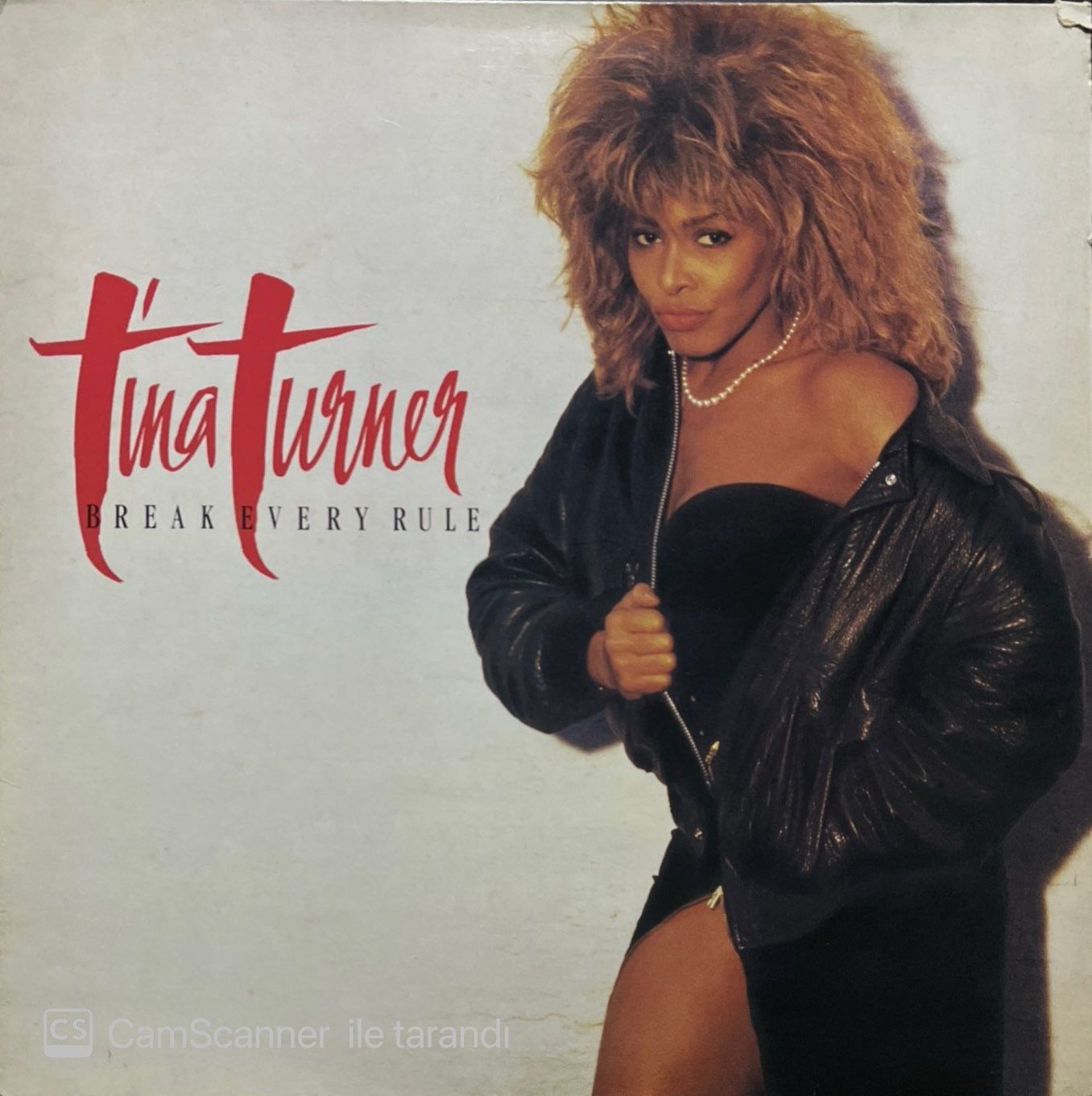 Tina Turner Break Every Rule LP Plak